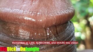Jamaican Large Dong Stud presents- Extraordinary Close Up Precum Play Wettest Dong in Jamaica! Hot Moanings