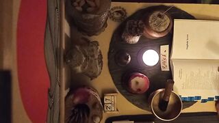 2026/07/27 - Zen Buddhist Practice - Every single day Chant