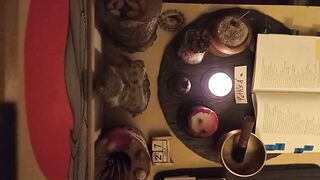 2026/07/27 - Zen Buddhist Practice - Every single day Chant