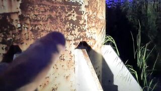 GLAMOROUS BIGGEST WEENIE MASTURBATE IN PUBLIC PLACE