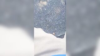 Ilpudro in villa- update #40 - 39587 - Jul 11, 2026