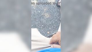 Ilpudro in villa- update #40 - 39587 - Jul 11, 2026