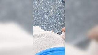 Ilpudro in villa- update #40 - 39587 - Jul 11, 2026