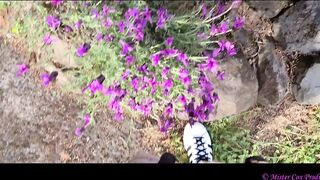 Take a Walk with Vivian Cox in her Rose Garden and Watch a Surprise - Vivian_Cox