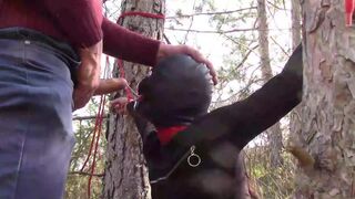 Bound to a tree on a hawt outfit, masked and outdoor deepthroat with no lenience