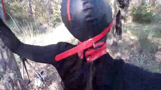 Bound to a tree on a hawt outfit, masked and outdoor deepthroat with no lenience