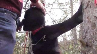 Bound to a tree on a hawt outfit, masked and outdoor deepthroat with no lenience