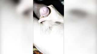MajorMcMeech Addicted To Soaking Hawt Cum All Night