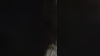 cheating wife
