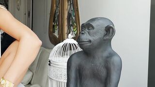 KNOB RATINGS - (Roxy Fox’ fresh approach!)