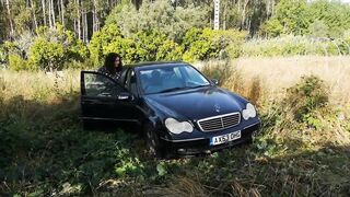 beginning an abandended car after 8 months see the wasps
