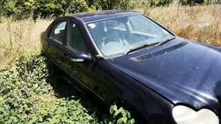 beginning an abandended car after 8 months see the wasps