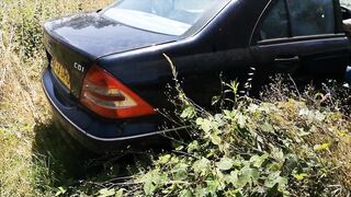 beginning an abandended car after 8 months see the wasps