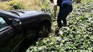 beginning an abandended car after 8 months see the wasps