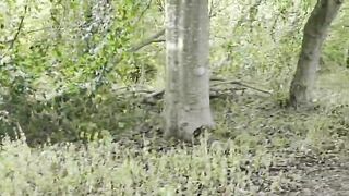 Dogging wife drilled by grand-daddy in the woods (no cum drum)