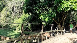 Banging behind the trees in a park with a BBC