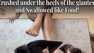 Crushed Underneath the Heels of the Giantess and Drank Like Food!