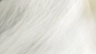 Golden-haired Aged stepmom has teats climax & pussyfucking close up!