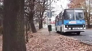 Openly pissing two - Outdoor public places pissing DVD