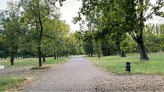 A pair in love is having coarse screwing in public in the park