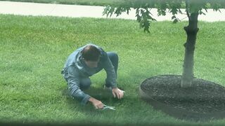 Certified Grass Trimmer