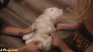 Polish porn movie scenes - Precious morning, this is the animal emergency service