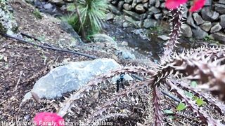 Outdoor Titty & Butt Tease Throughout the Reserve Ends with Hard Daybed Sex