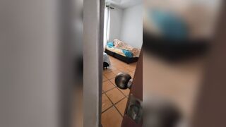 El hermano de mi novio me folla el culo y me da toda su leche en mi boca escondidos en el baño