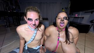 Topless panting doxies constantly drooling as they stick their tongues out, licking and smelling every other
