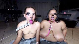 Topless panting doxies constantly drooling as they stick their tongues out, licking and smelling every other