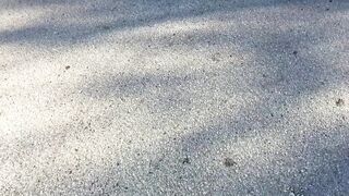 Kinda Risky Public Oral sex