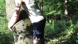 Tree Humping at Sunset