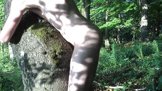 Tree Humping at Sunset