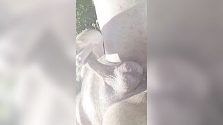 Load Of Cum In The Woods