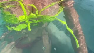 Hawt Italian mother I'd like to fuck Artemisia Love Flashing her wet large titties underwater in Public Full OF