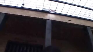Barely Trumpeted (full Film Centoxcento)