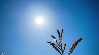 Exploring With Andrie EPS 1 - All Corn ? No Porn ⬛️? - Nature Foliage Flora And Fauna - SFW -