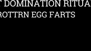 Fart Domination Ritual: Egg Farts for the Serf