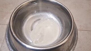 Cute Trans Beauty Drinks Giant load of Cum after Sucking Large Ebony Sex toy and gets Overspread in Jizz