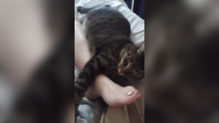 Cute Kitten Cuddling With Charming Feet
