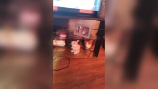 Cute gal playing with doggy and kittens