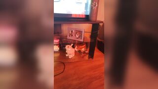 Cute gal playing with doggy and kittens
