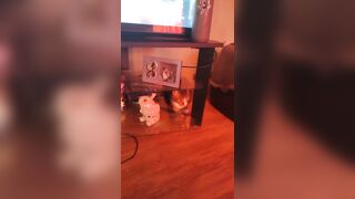 Cute gal playing with doggy and kittens