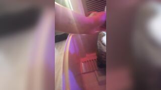 Kitten makes box to play in