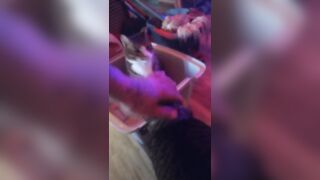 Kitten makes box to play in