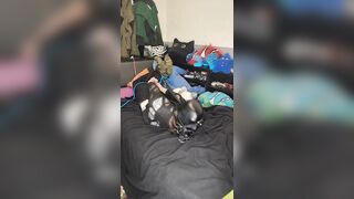 trying head harnes hogtie