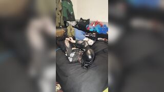 trying head harnes hogtie