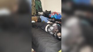 trying head harnes hogtie