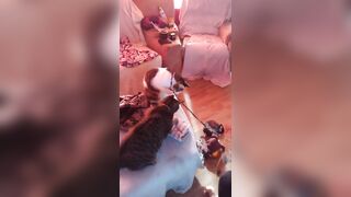 Hawt tattoo beauty playing with her kittens