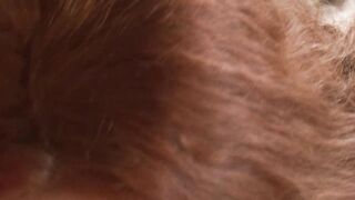 Shy redhead teen pounded hard in her shaggy vagina